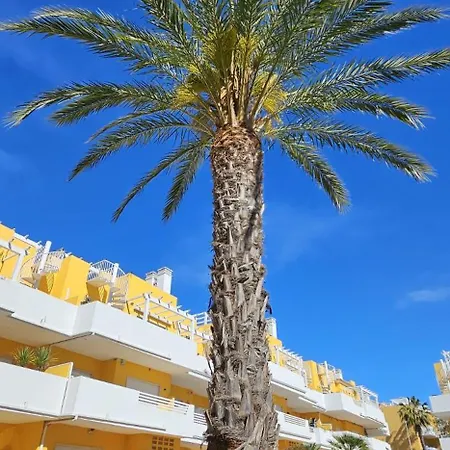 アパート Palmview Penthouse Algarve タヴィラ